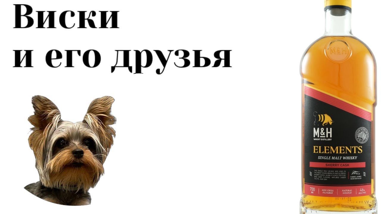 Дегустация M&H Elements