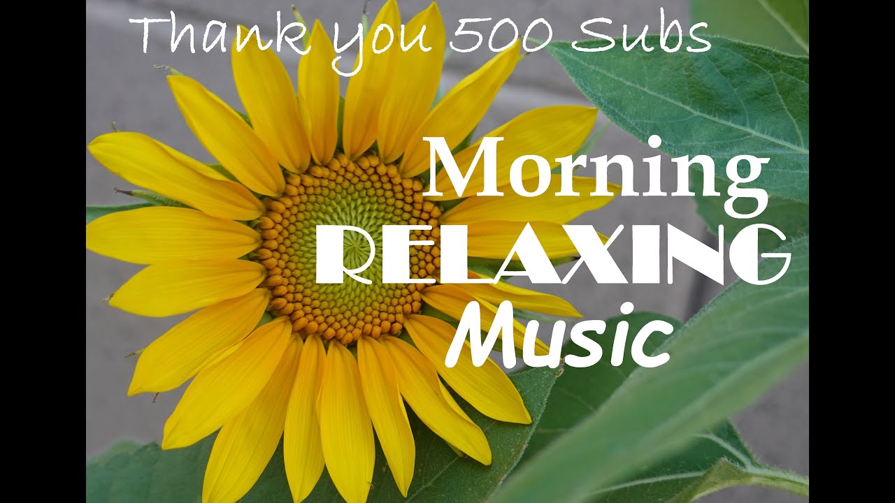Morning Relaxing Music with Real Sounds of Birds, Sunflowers, Bees| Thanks 500 Subs | Huong Harmon