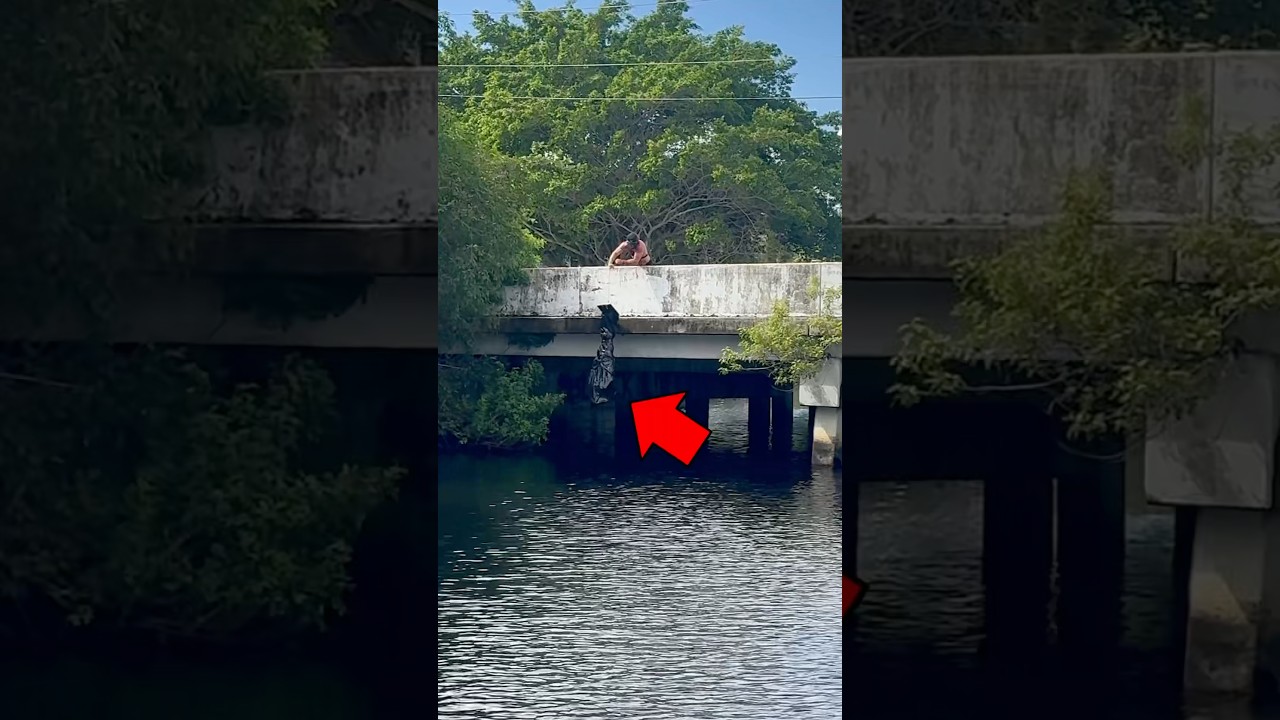 FOUND A BODY MAGNET FISHING..