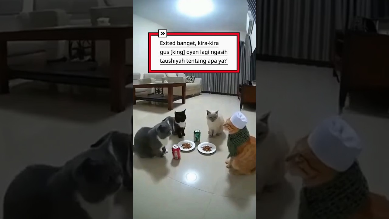 ngasih taushiyah