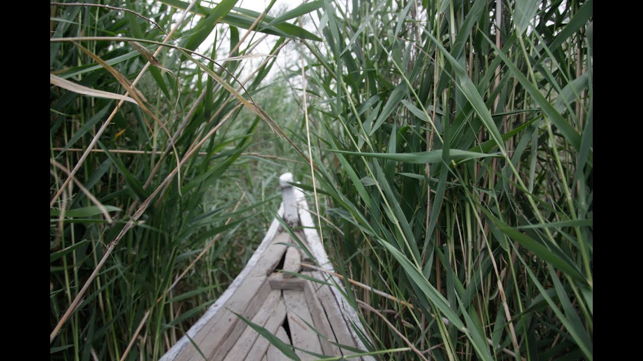 The Marshlands of Mesopotamea