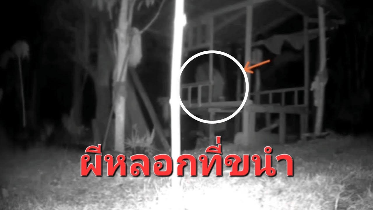 ผีขนำท้ายสวน ตั้งกล้องที่ขนำ กลัองจับภาพได้ 