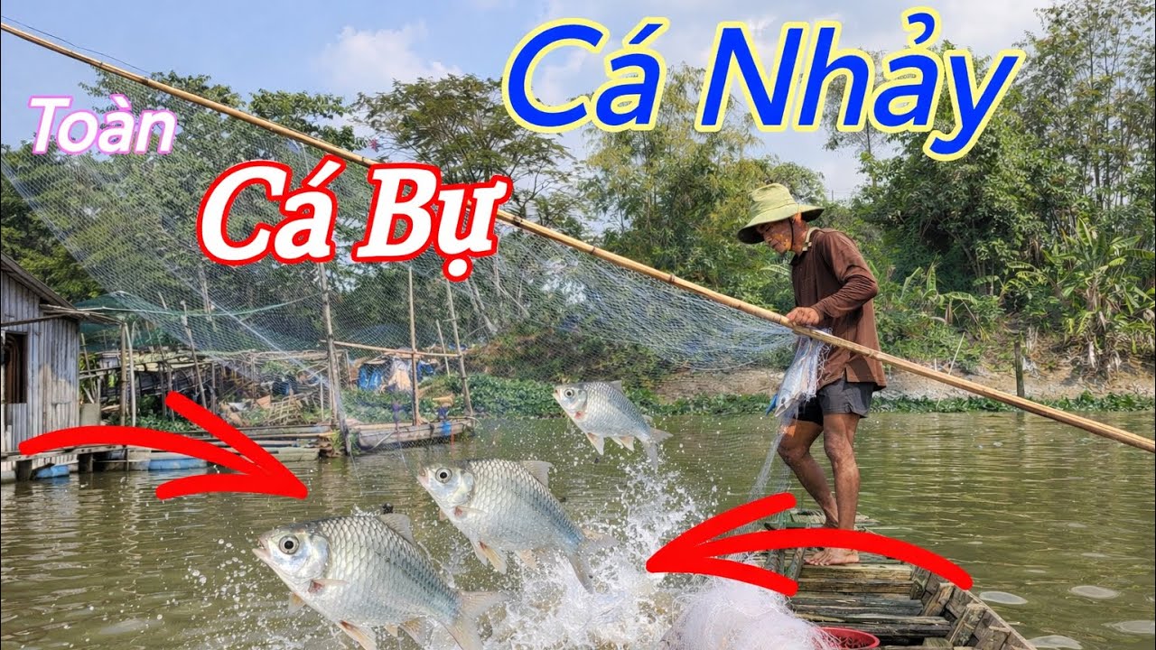 Vợt Đầu Tiên Là Có Cá Bự Rồi...! Cách Này Hay Mà Hiệu Quả nè..!! #sanghoaimientayvlogs 
