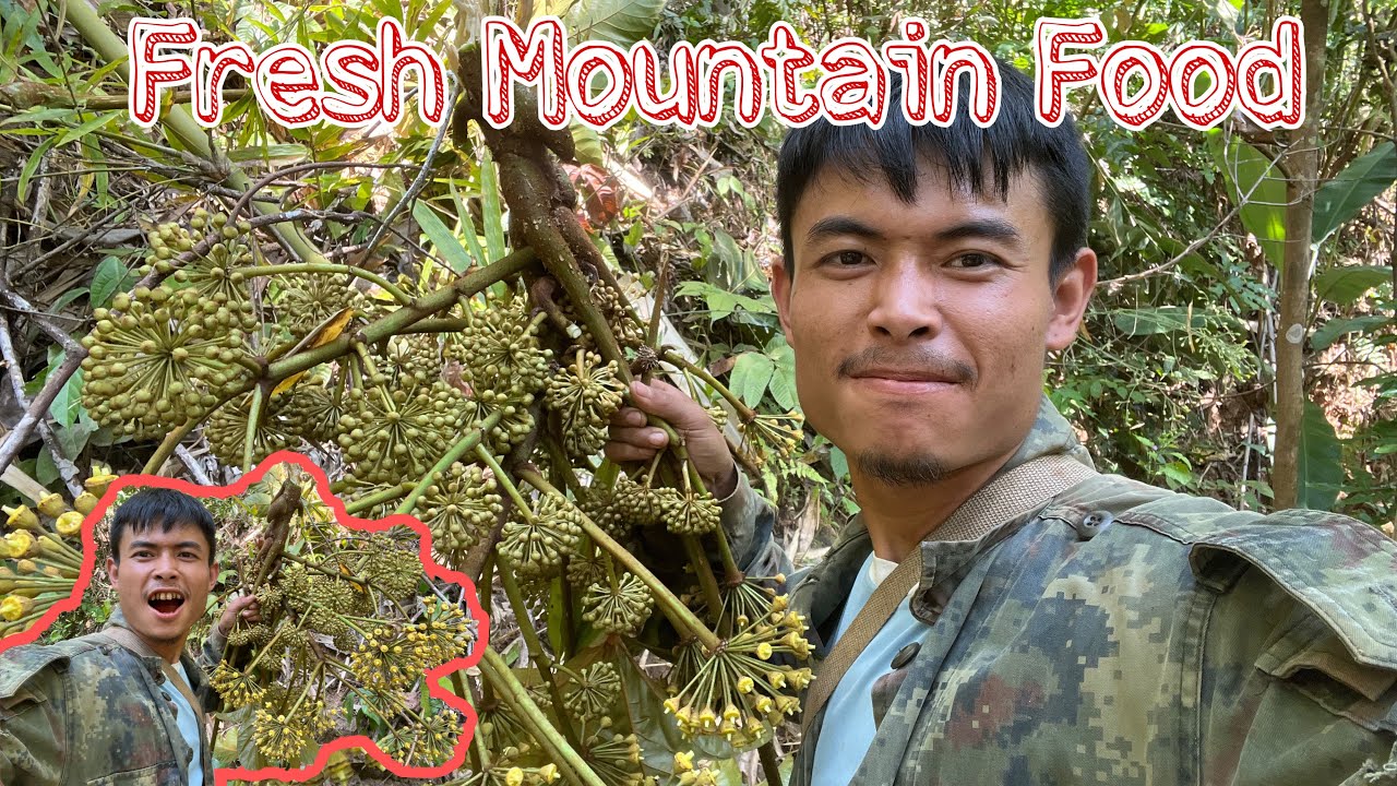 Go and Find Karenni Mountain Food 2026