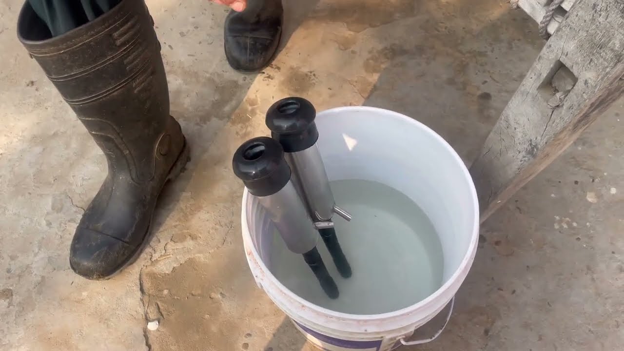 How to change liner of milking machine #kdfbhogipur #farming #cow 