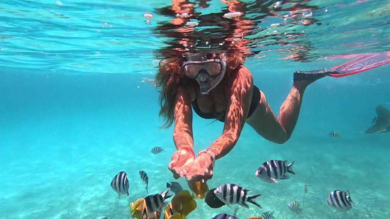 Best of Zanzibar Kiwengwa 2025 &ndash; Kiteboarding Paradise!