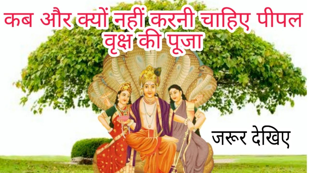 शास्त्रों के अनुसार कब और क्यों नहीं करनी चाहिए पीपल वृक्ष की पूजा ?