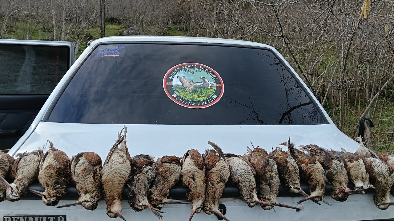 2026 LODOSTA MÜTHİŞ ÇULLUK AVI part 8 #SHOTKAM #beccaccia #woodcock #вальдшнеп#Μπεκάτσα#türkiye