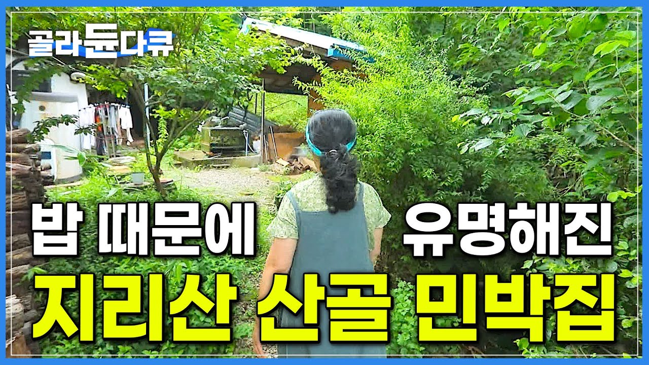 식당 하기 싫어서 세 끼만 차려주면 되는 민박집 차렸는데 제발 밥도 좀 팔라고 등 떠밀려 결국 밥장사까지 하게 된 지리산 민박집│지리산 산골 민박집│한국기행│#골라듄다큐