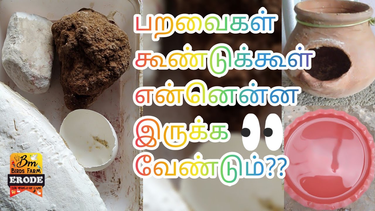 Part - 12/ Cage inside food & material setup.Tamil..