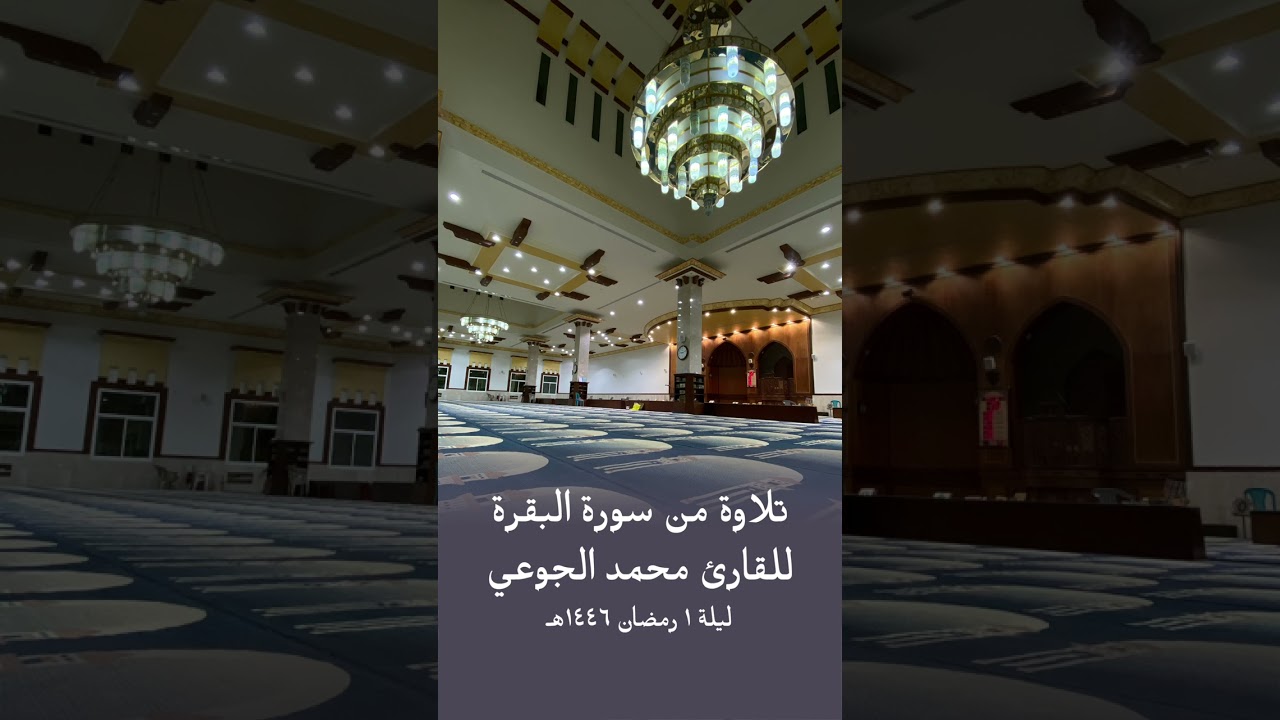 تلاوة من سورة البقرة للقارئ محمد الجوعي ~ رمضان 1446هـ