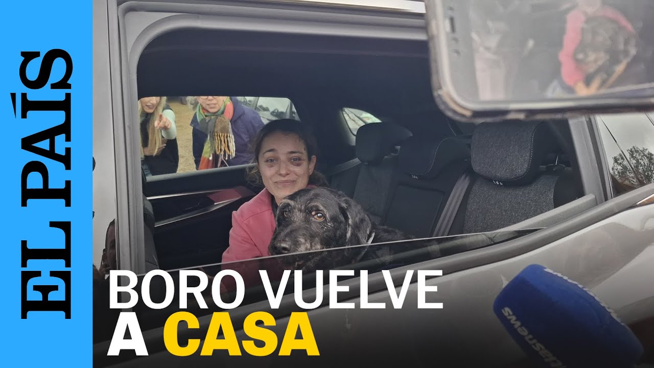 ACCIDENTE ADAMUZ | BORO regresa con sus dueños SANO Y SALVO | EL PAÍS