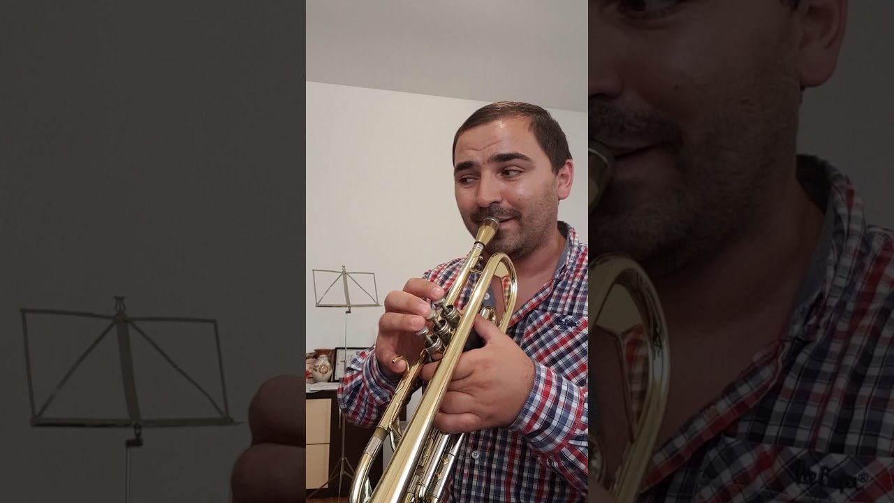 Tutorial Bătuta ca la nuntă. Fa Major Trumpet.