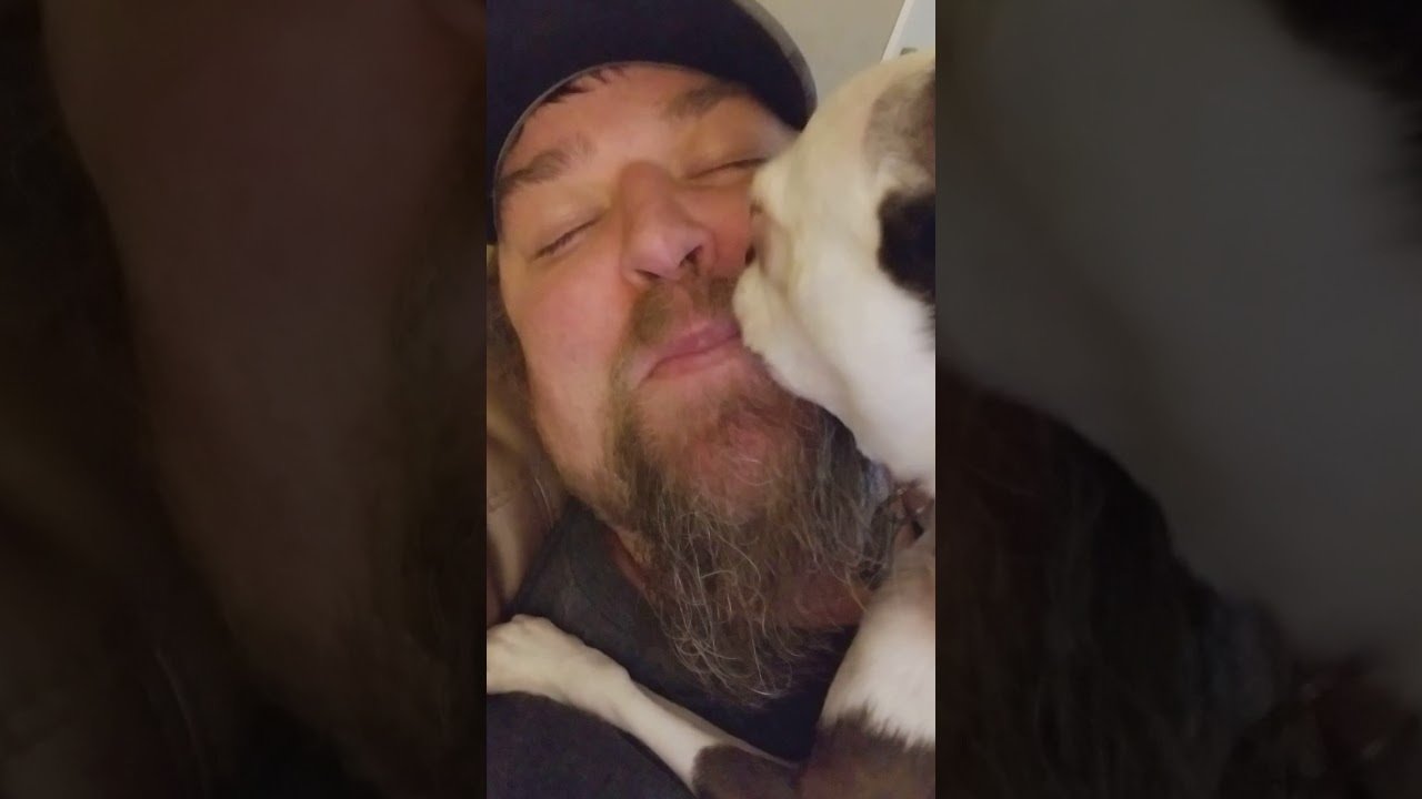 Funny dog licking face