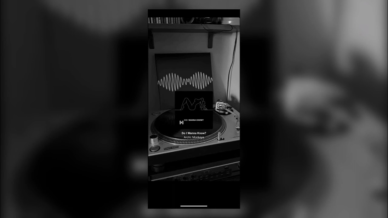 𝑨𝒓𝒄𝒕𝒊𝒄 𝑴𝒐𝒏𝒌𝒆𝒚𝒔  - 𝒅𝒐 𝒊 𝒘𝒂𝒏𝒏𝒂 𝒌𝒏𝒐𝒘?  (𝑺𝒍𝒐𝒘𝒆𝒅 + 𝒓𝒆𝒗𝒆𝒓𝒃)