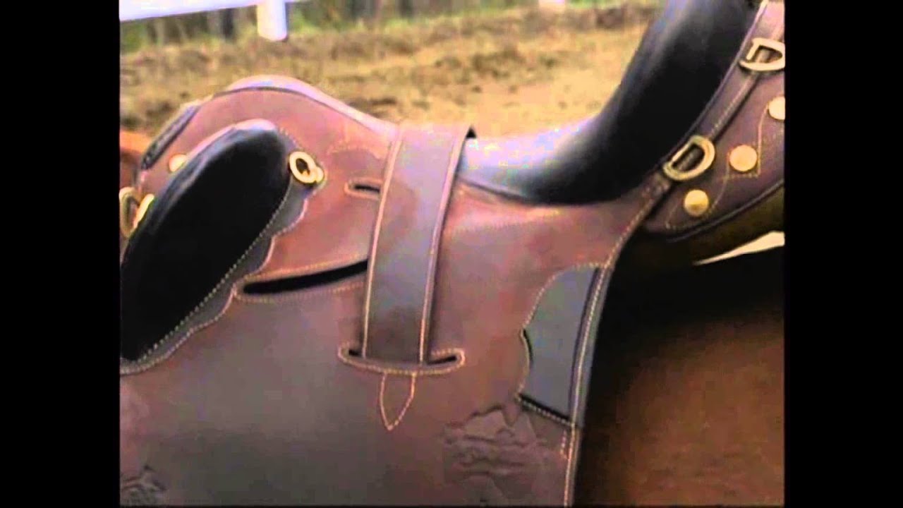 The Best Saddle Fitment for Rider and Horse