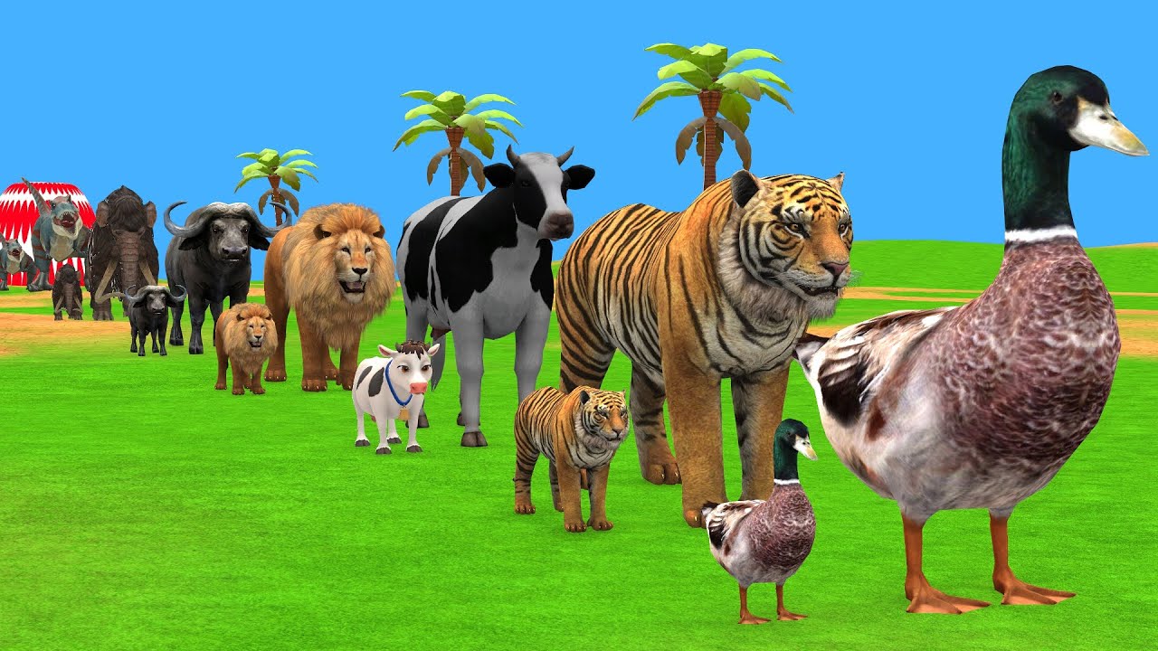 Long Slide Game with Cow Elephant Gorilla Hippopotamus Tiger 3d Animal Game Funny 3d Animals