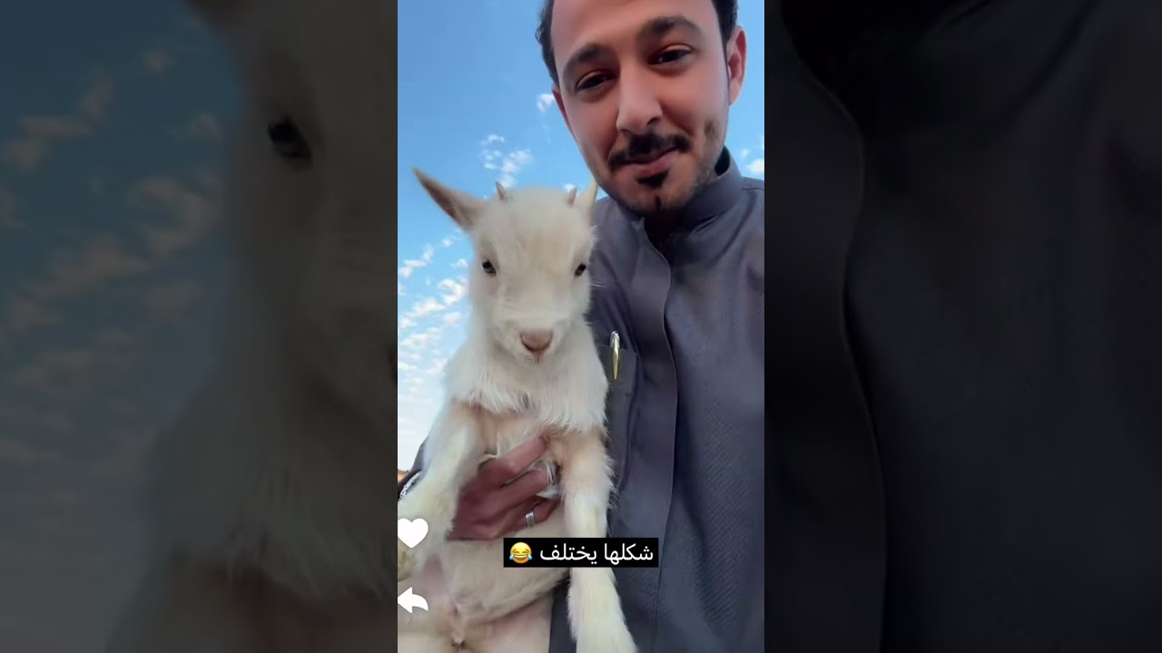 الحمد لله جت سليمه / سنابات ابو ناصر