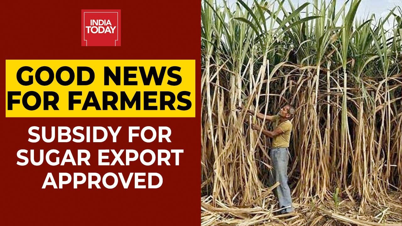 Cabinet Approves Rs 3,500 Crore Subsidy On Sugar Export, Says Union Minister Prakash Javadekar