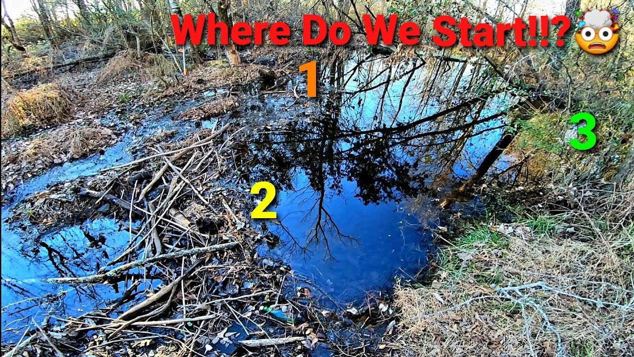 Finally Checking In At Mother Beaver Dam Number 2 After 17 Days! || Where Do We Start!? Part 1 of 2!