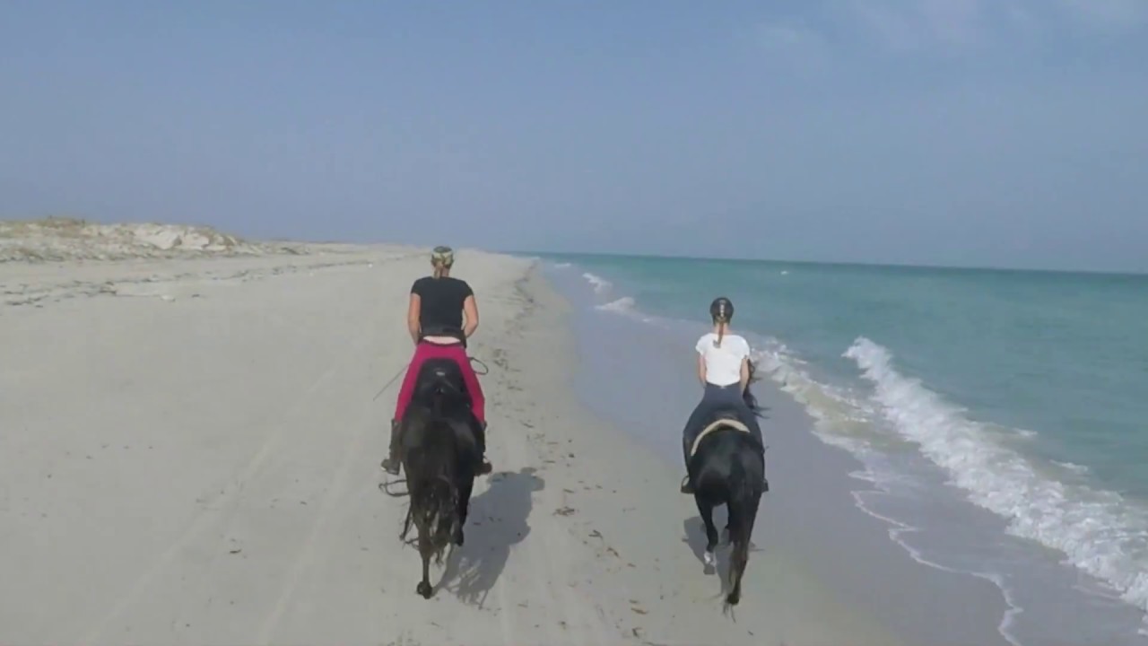 Reiten / Reiterferien am Strand, Reitstall Zitouna – Djerba
