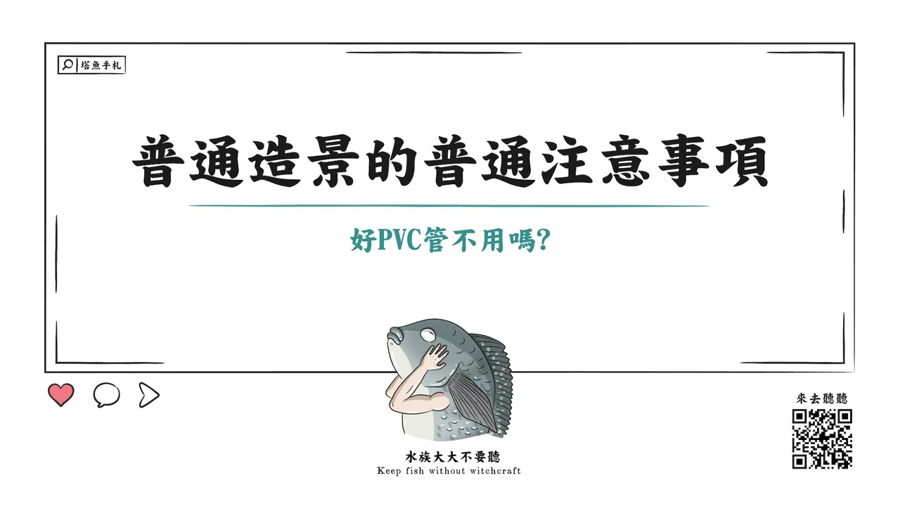 [水族大大不要聽]普通造景的普通注意事項-怎麼打造對魚和人福利都很好的造景呢?