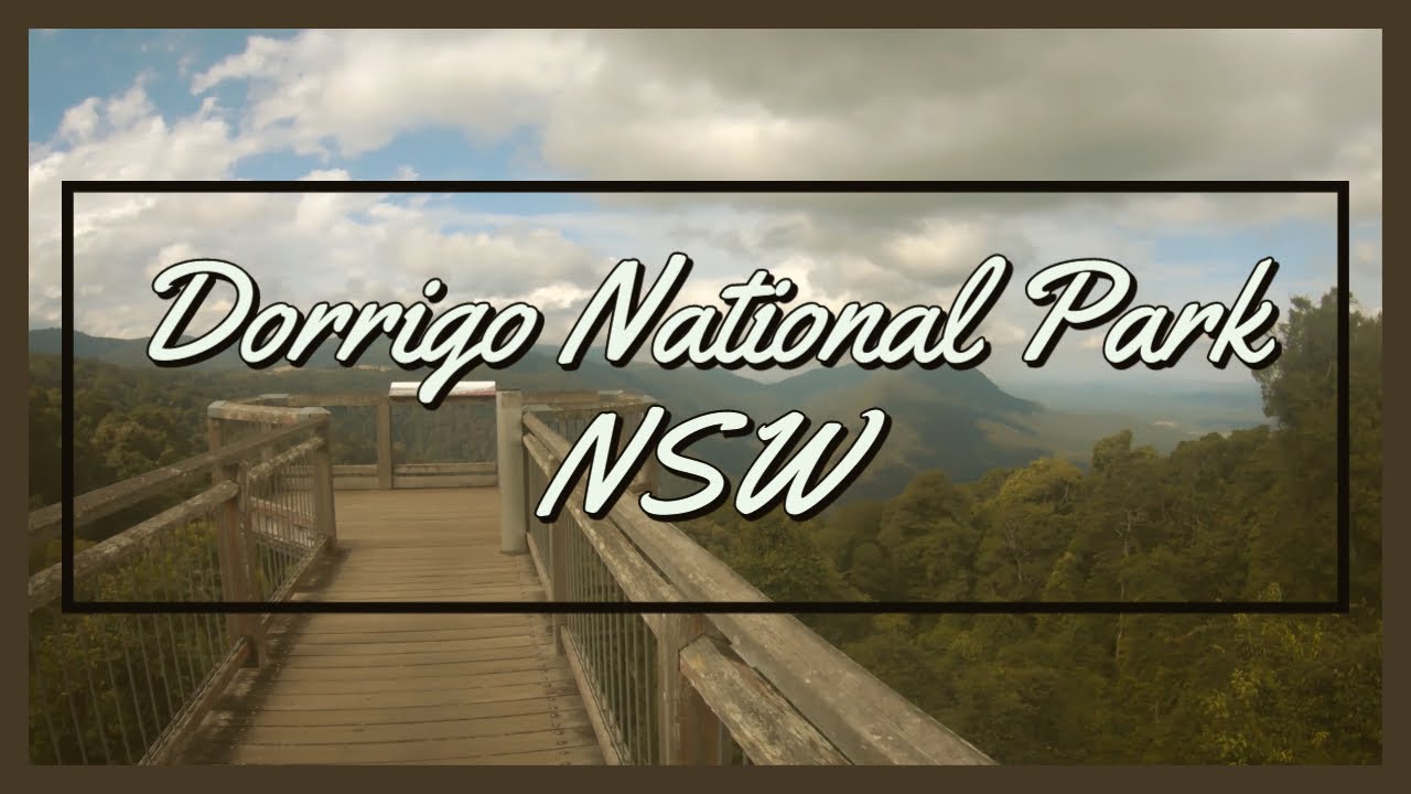 Tour around Australia: Episode 12 - Dorrigo National Park