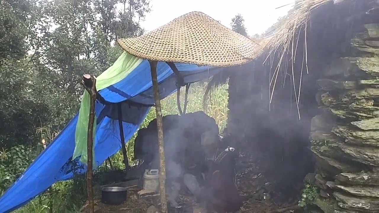 organic Nepal mountain village Life during The Rain Most peaceful and Relaxing shepherd Life