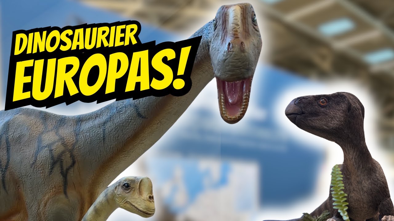 Unglaublich, wie viele Dinosaurier Europa wirklich hatte! - Munich Show 2025! - Part 2/2