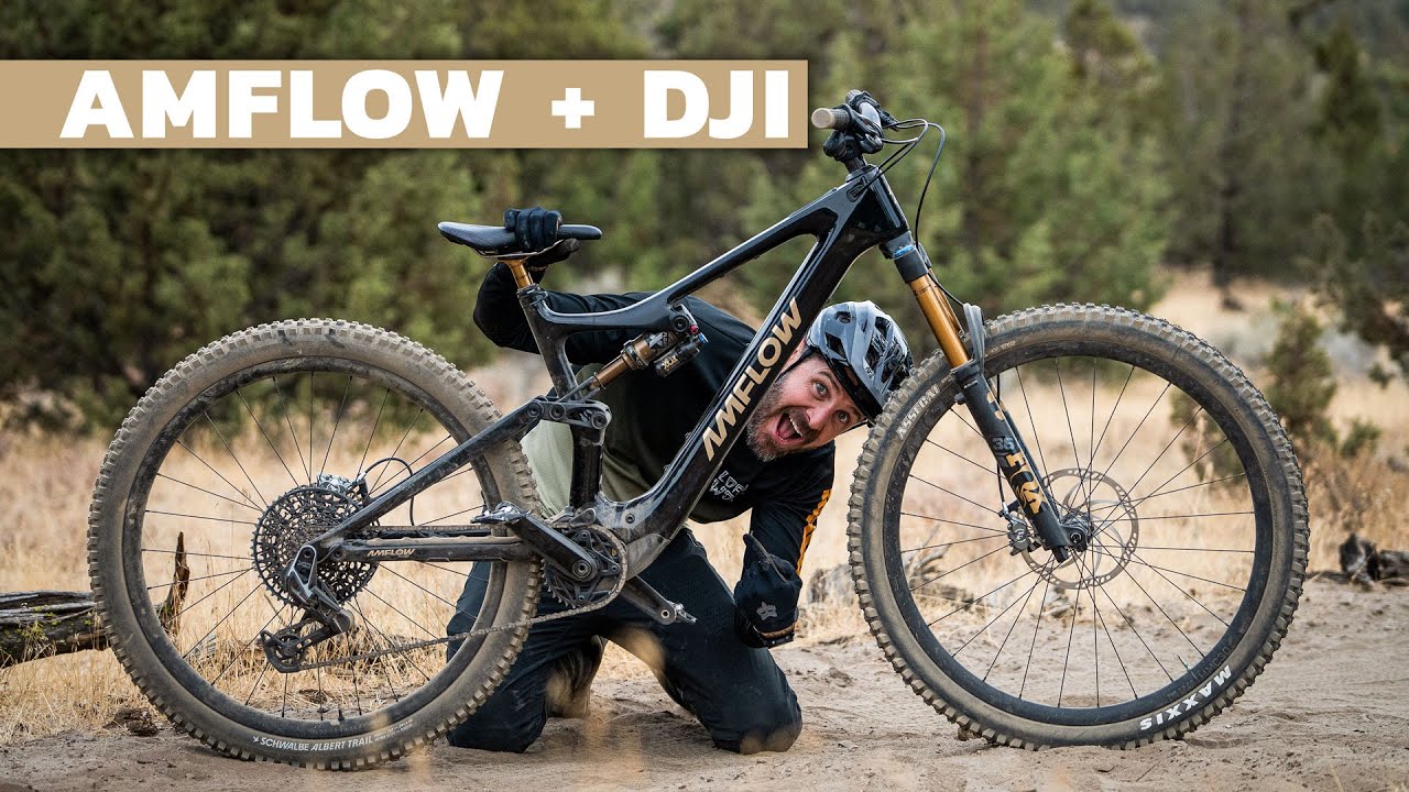 DISRUPTOR - AmFlow PL Carbon Pro DJI Avinox EBike #emtb