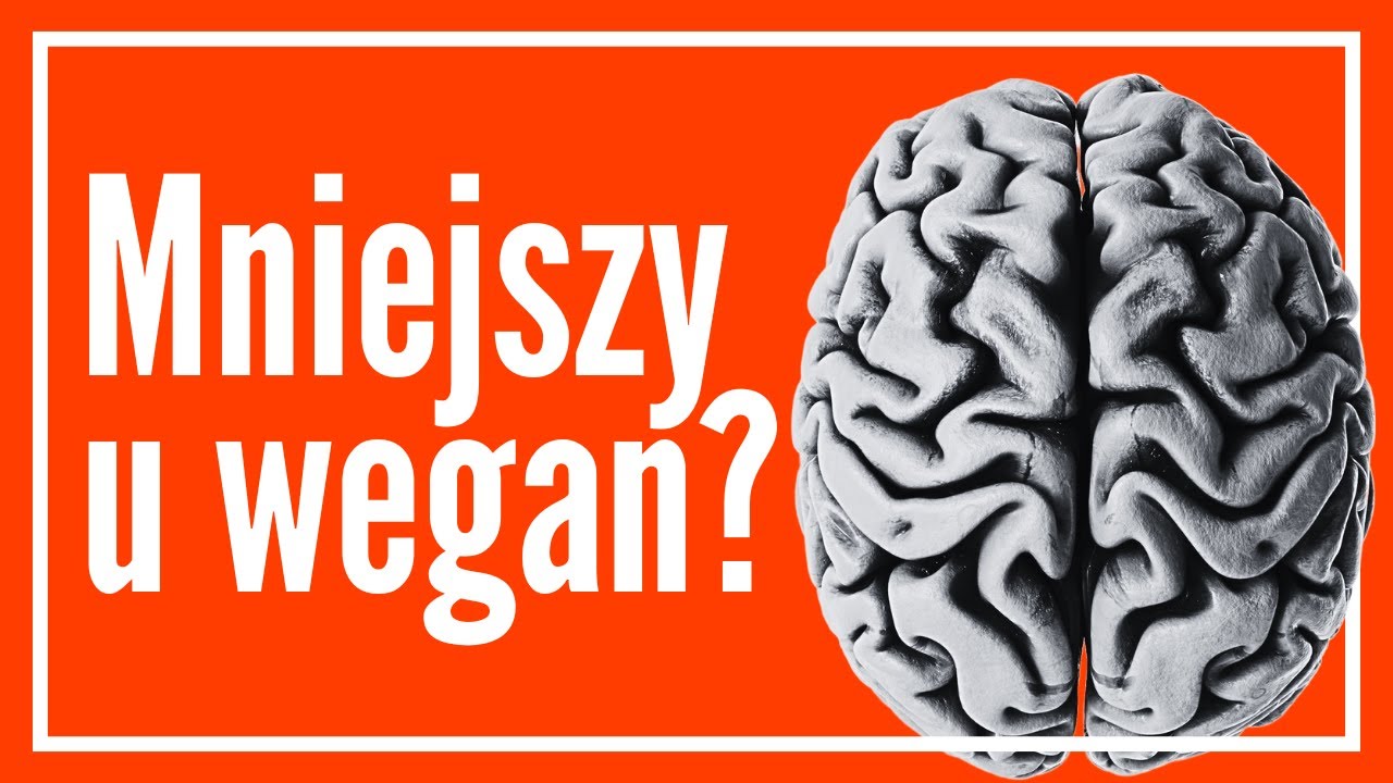 Wegetarianie cierpią na depresję i mają mniejsze m&oacute;zgi? Sprawdźmy!