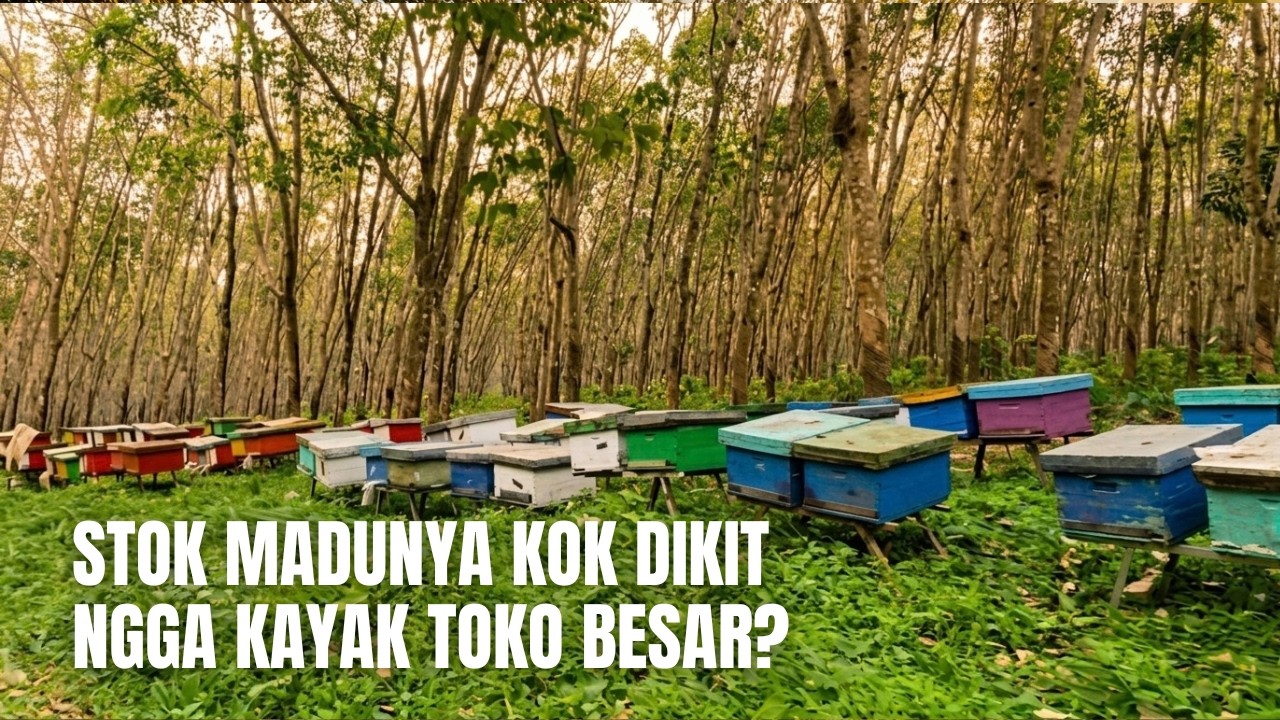 Memahami Lebah Madu dalam 10 Menit