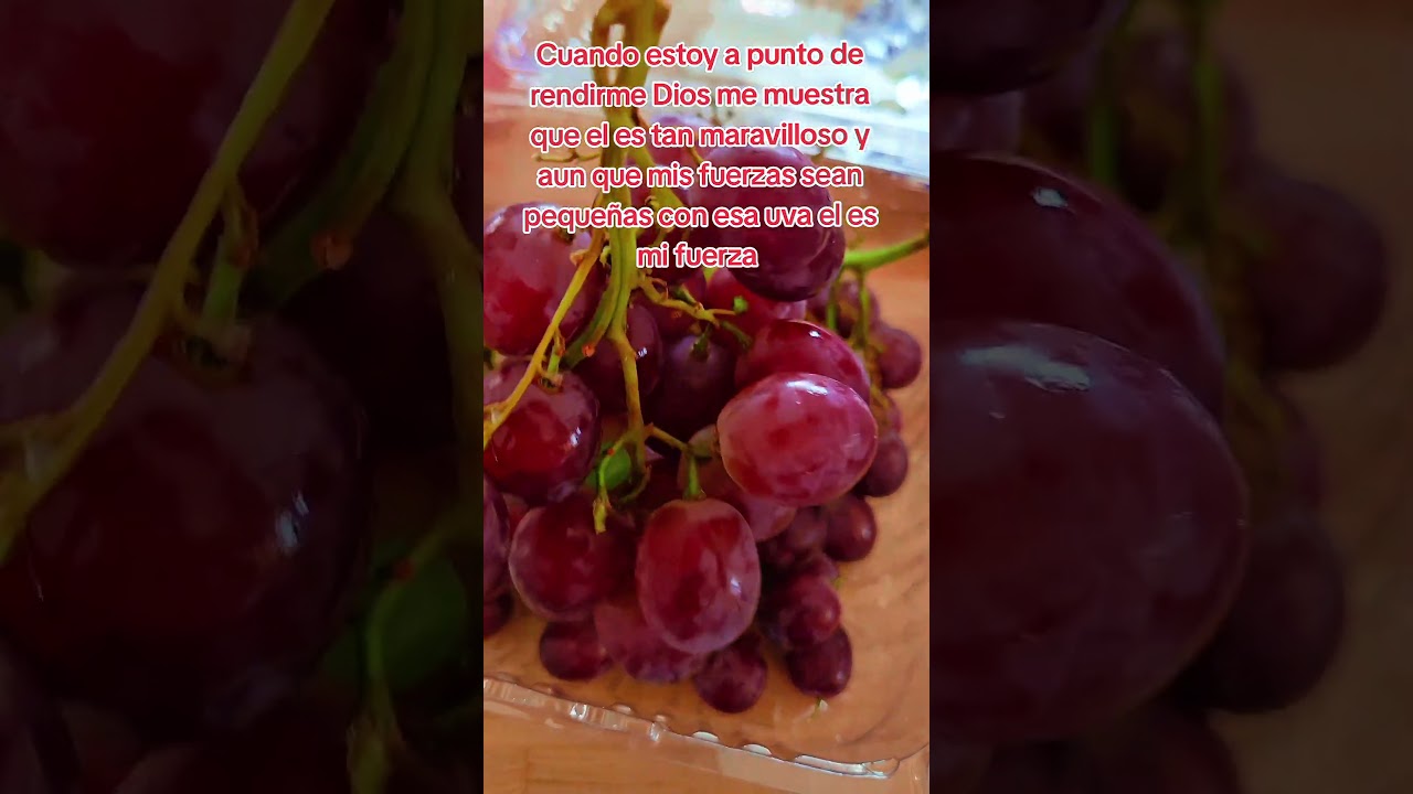 #relsfypシ #todos #everyone #viral #funny #alfredolarin #flyp #paratiiiiiiiiiiiiiiiiiiiiiiiiiiiiiii