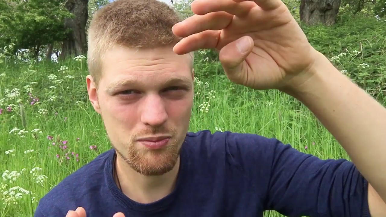 Ich weiß nicht, was ich will - was tun? - Hochsensibilität