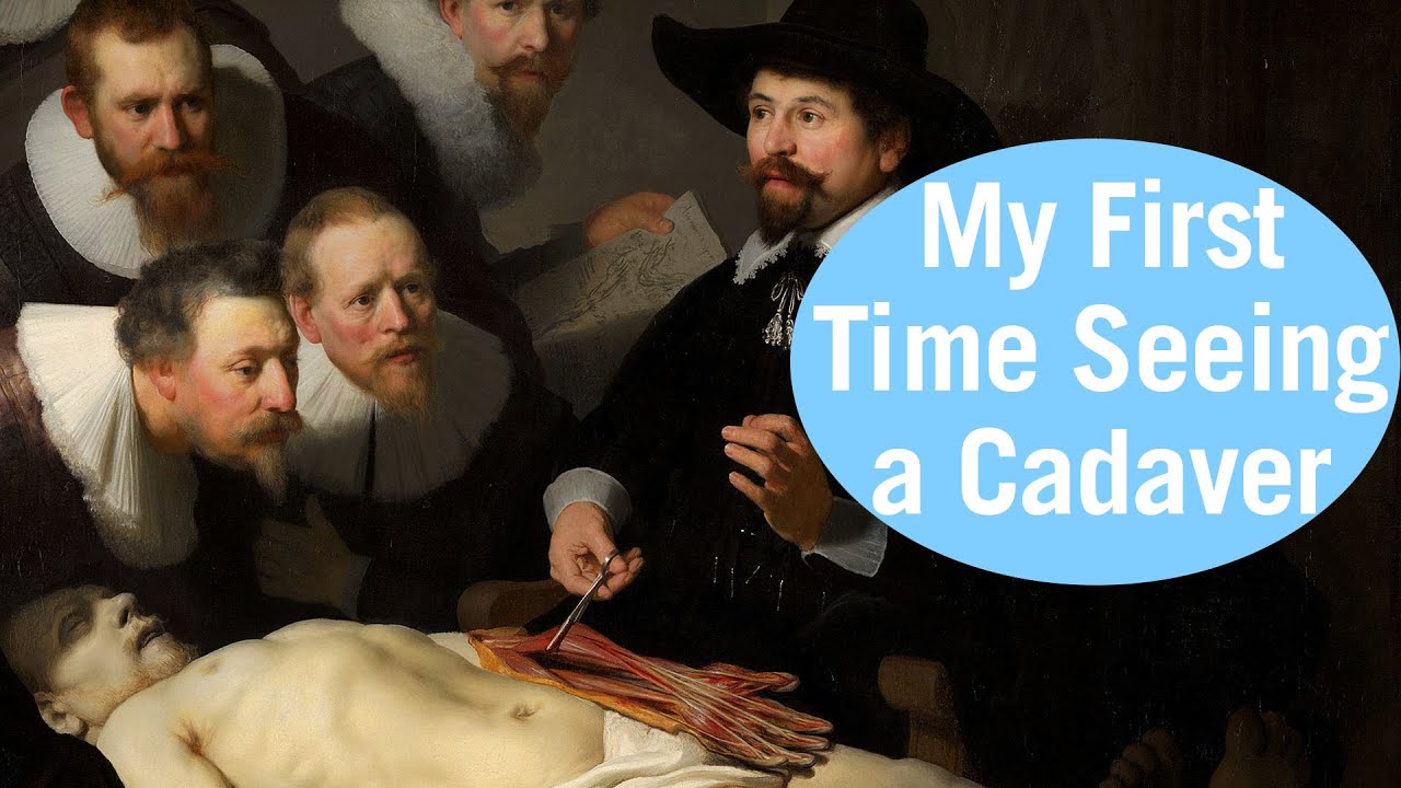First Human Cadaveric Dissection as a Medical Student