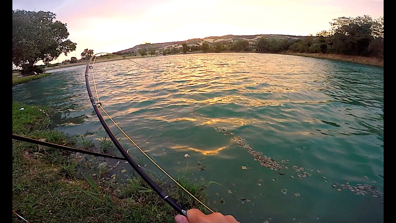 Il pesce più GRANDE che abbia MAI PRESO! - Combattimento EPICO 50 MINUTI!