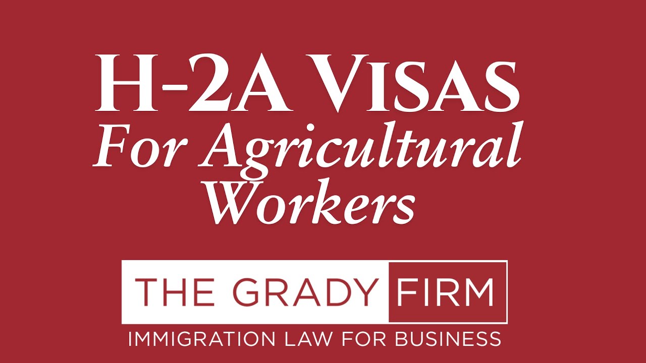 How to Utilize the H-2A Visa for Agricultural Workers