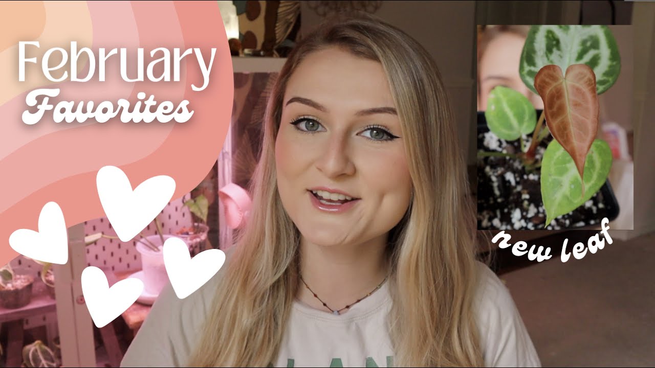 Top 5 Monthly Houseplant Favorites | February 2023 | Plants I've been loving lately!
