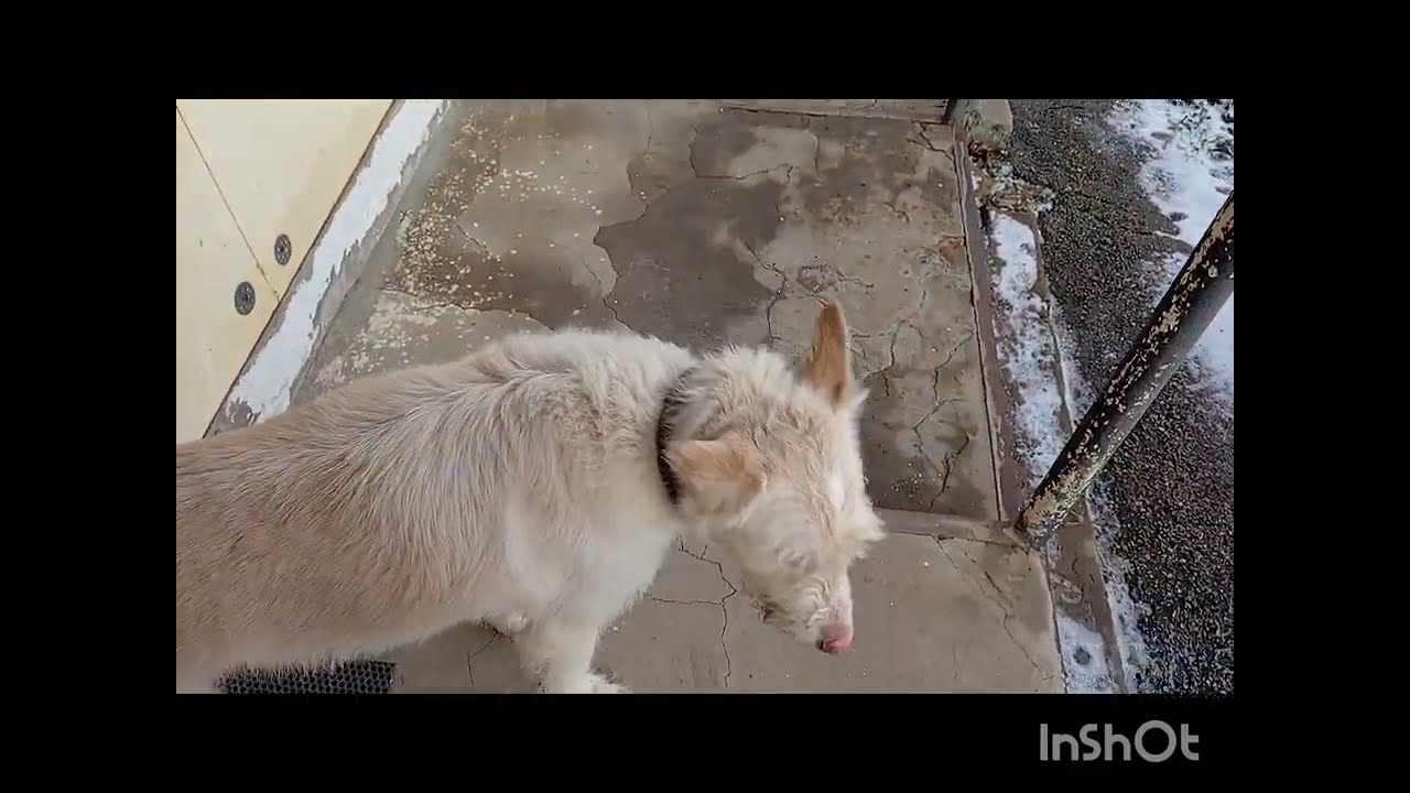 Переехали на Юг/Натяжные потолки в кухне и в ванной/Новый телефон/Сам наклеил гидрогелевую плёнку.