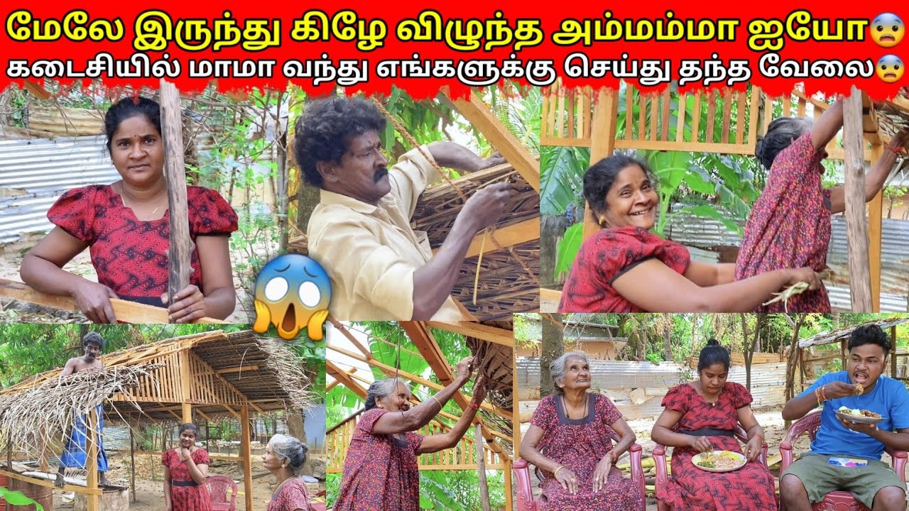 மேலே இருந்து விழுந்த அம்மம்மா கடவுளே 😨|jaffna|VKJT VLOG 