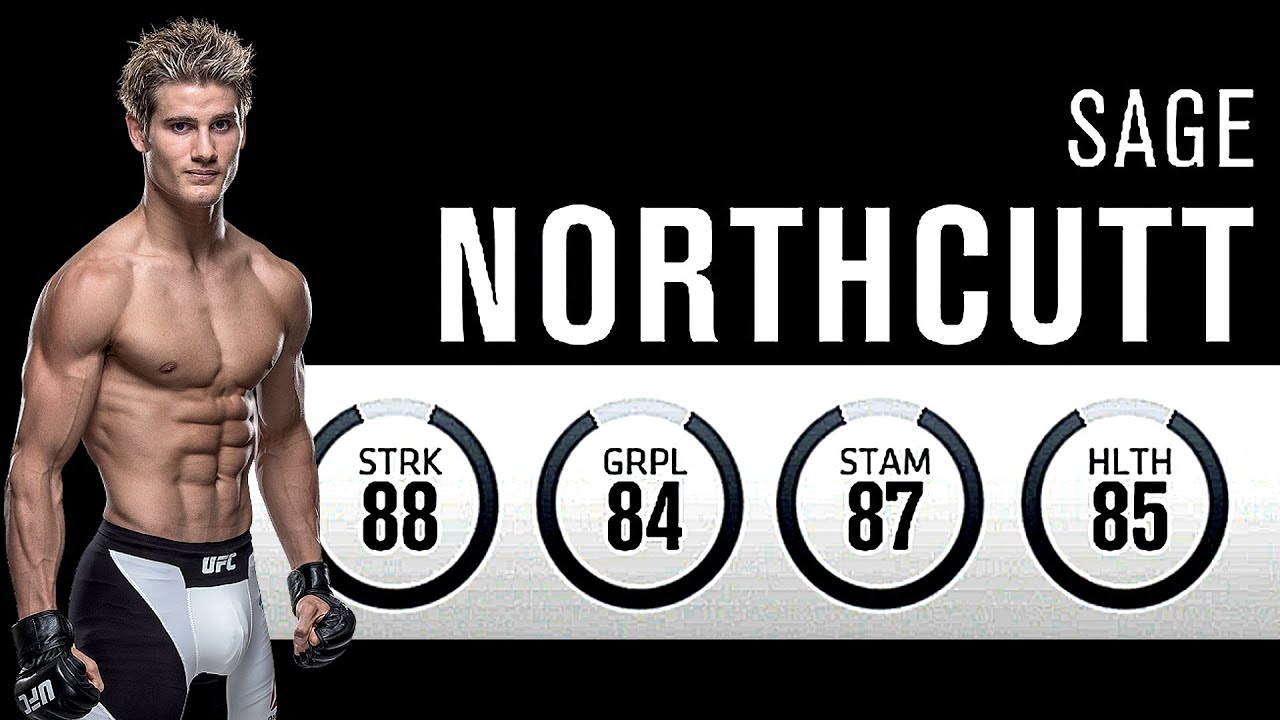 EA Sports UFC 3 Fighter Request - Super Sage Northcutt!