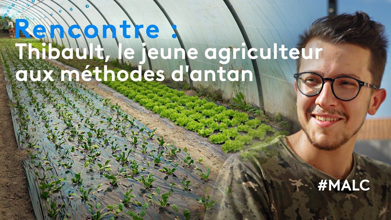 Rencontre : Thibault, le jeune agriculteur aux méthodes d'antan