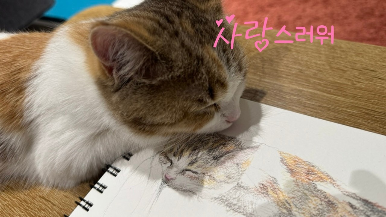 [고양이 집사의 그림일기 ] '그림 감상하다 잠이든' #cat #shorts  #kitten  #cute #painting #art  #고양이