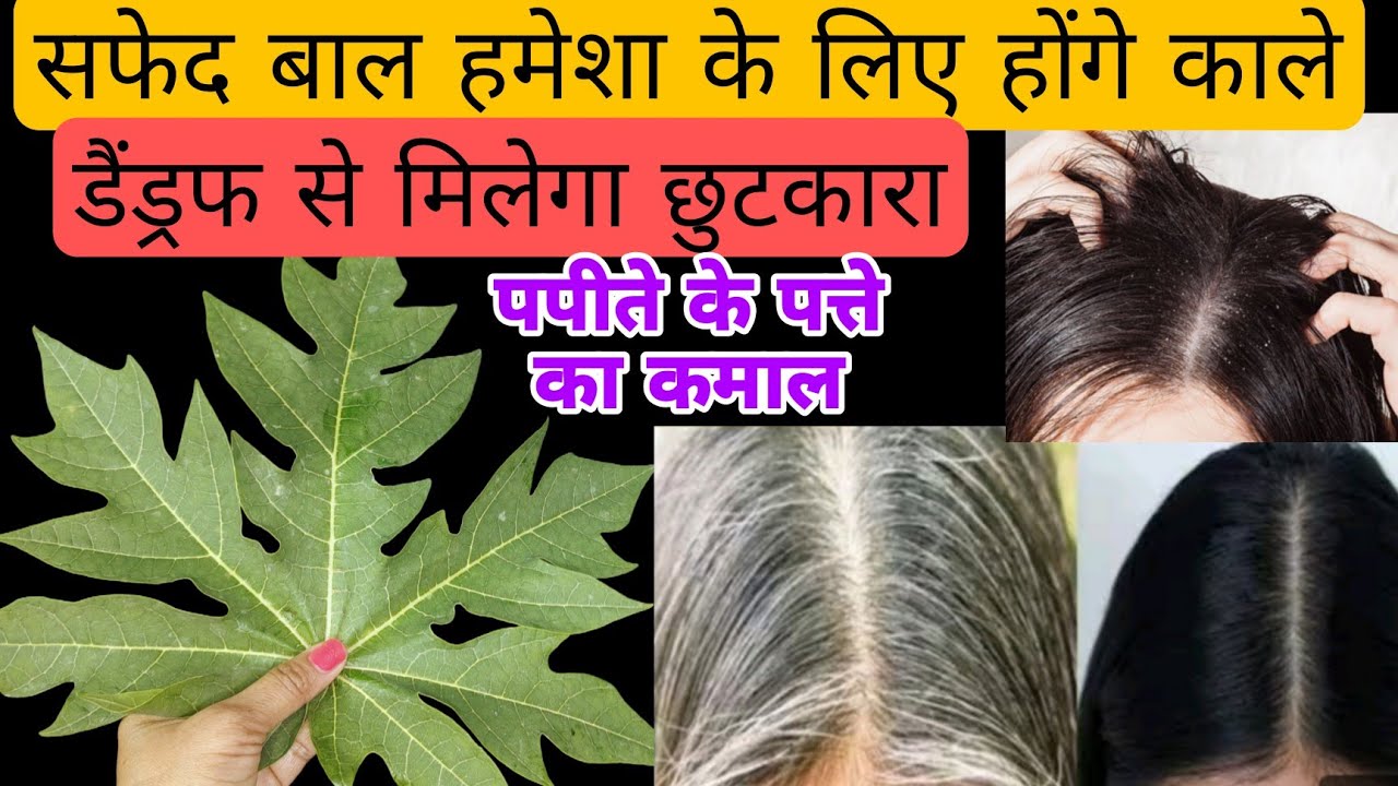 सफेद बालों को जड़ से काला करने का घरेलू तरीका, रूसी से मिलेगा छुटकारा#home remedy#money saving tips 