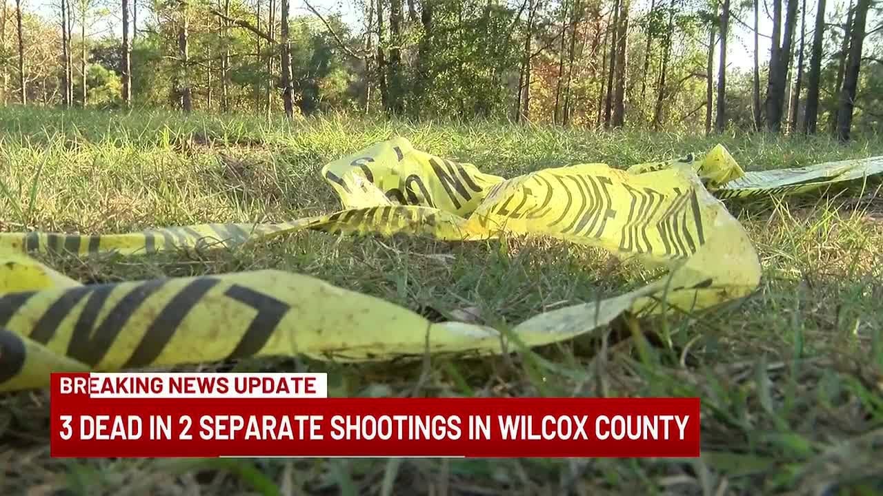 3 dead in 2 separate shootings in Wilcox County
