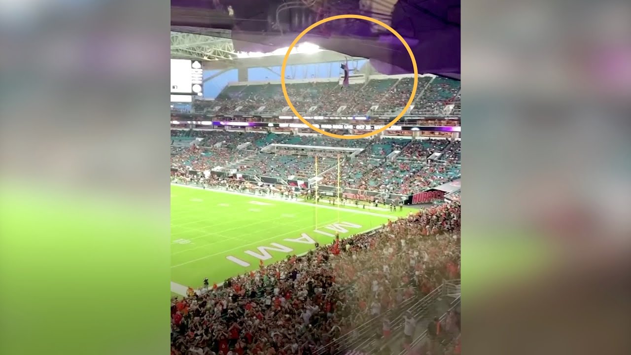 Spectators catch falling cat with flag at Florida stadium