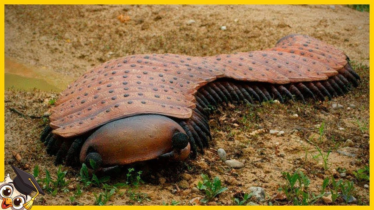 20 Dangereux Insectes Préhistoriques Disparus
