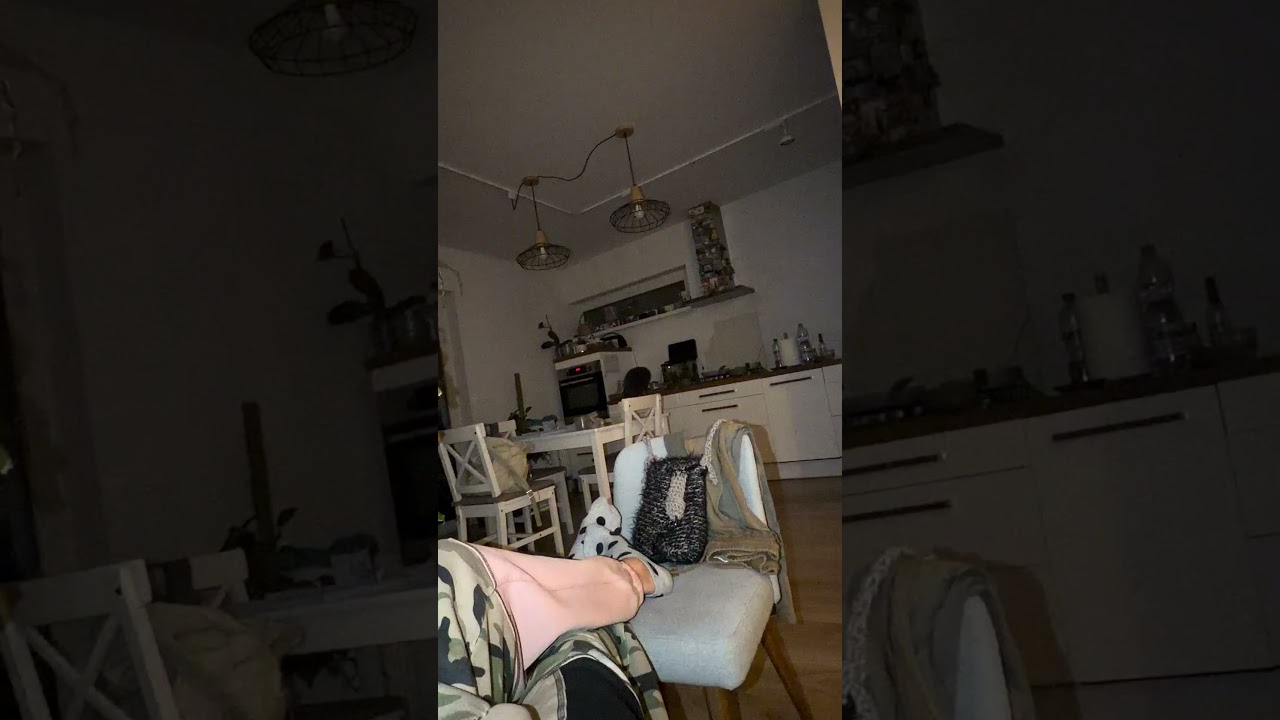 Кот на передержку. Смотреть до конца
