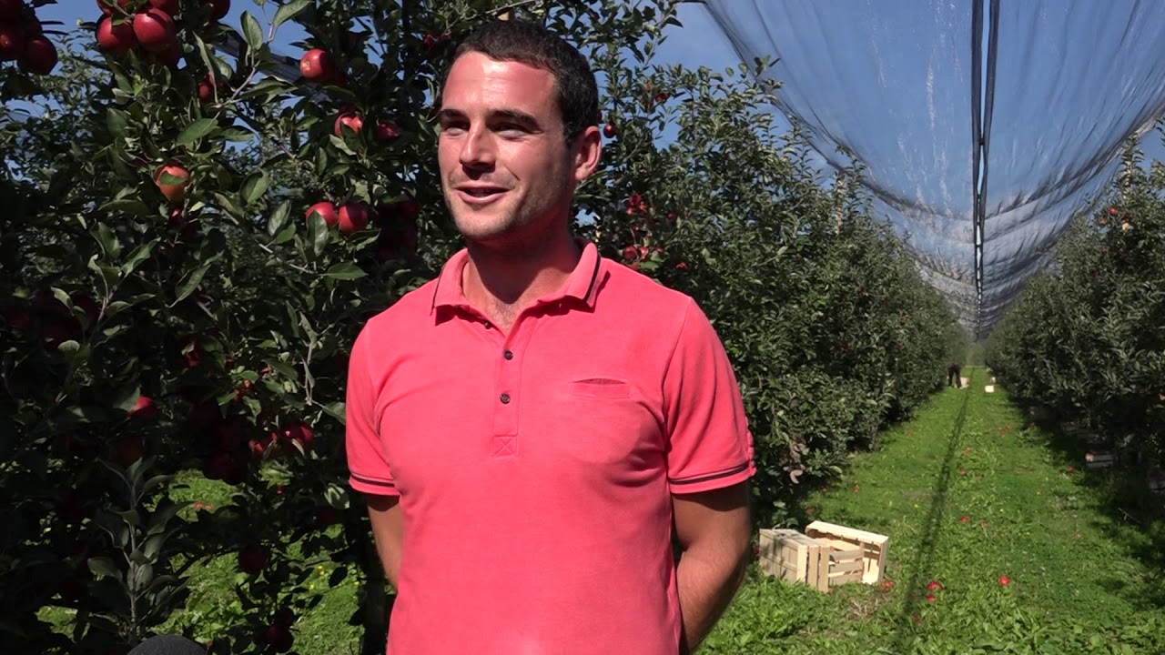 Voćarstvo Veljka Kostovića u Bukovici i Dedevcima