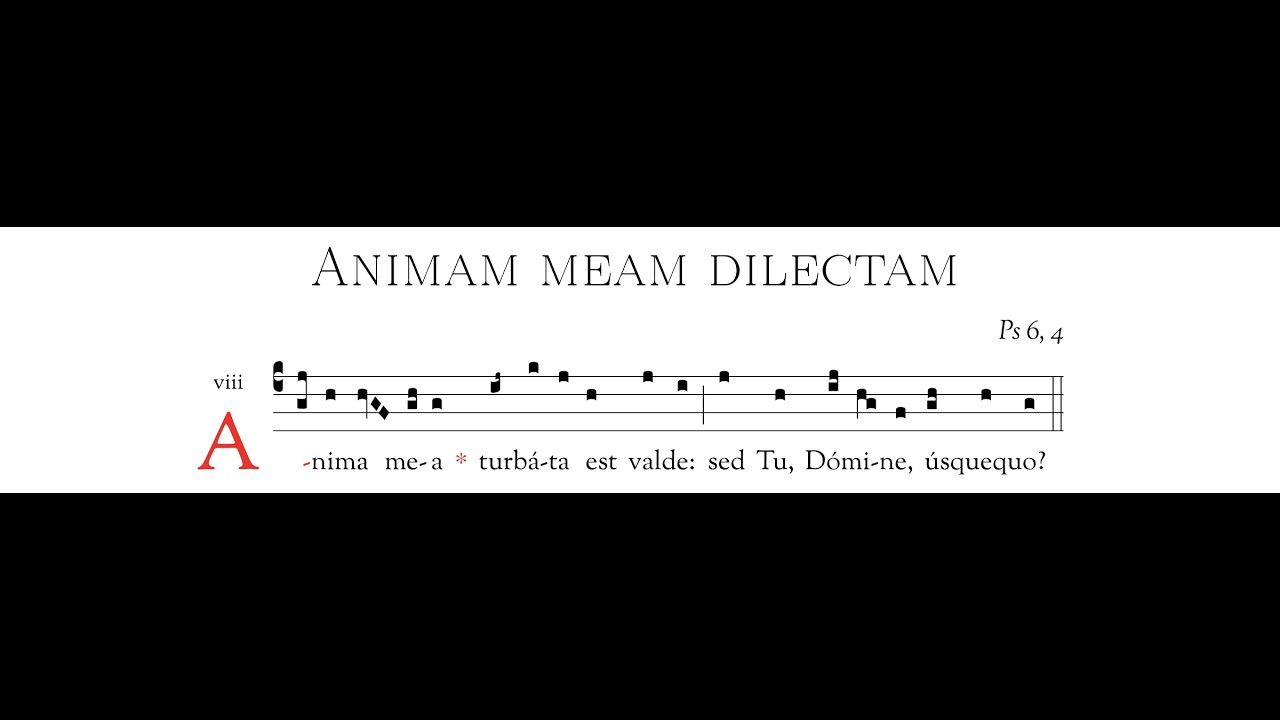 C3-Animam meam dilectam